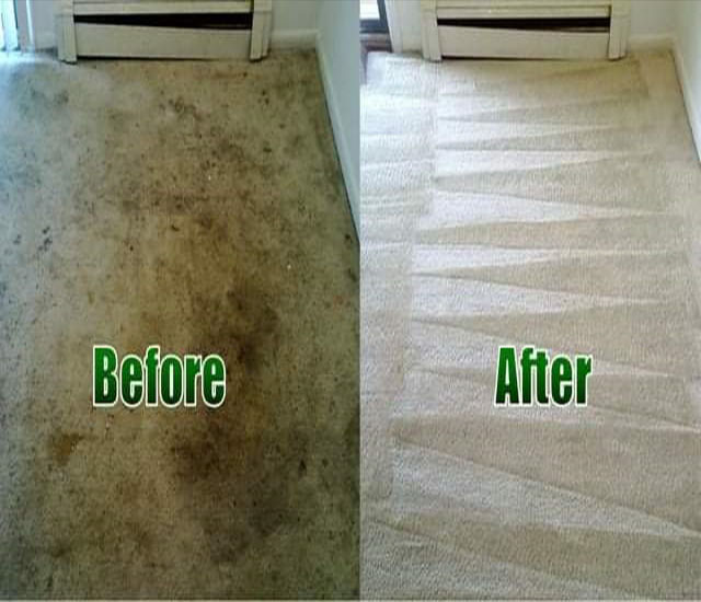 Cleaning Services in Delhi